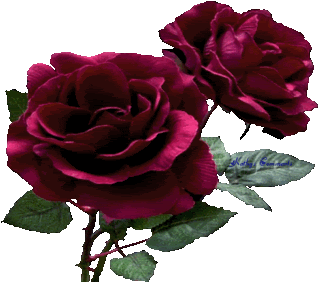 ColorfulRosesAni.gif image by rebelrhoads