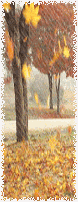 FallRainAni.gif image by rebelrhoads
