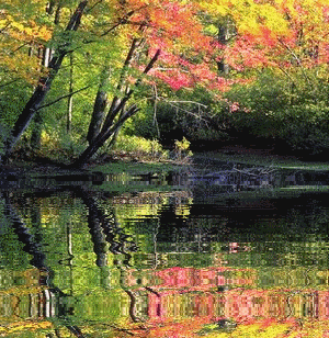FallWaterAni.gif image by rebelrhoads